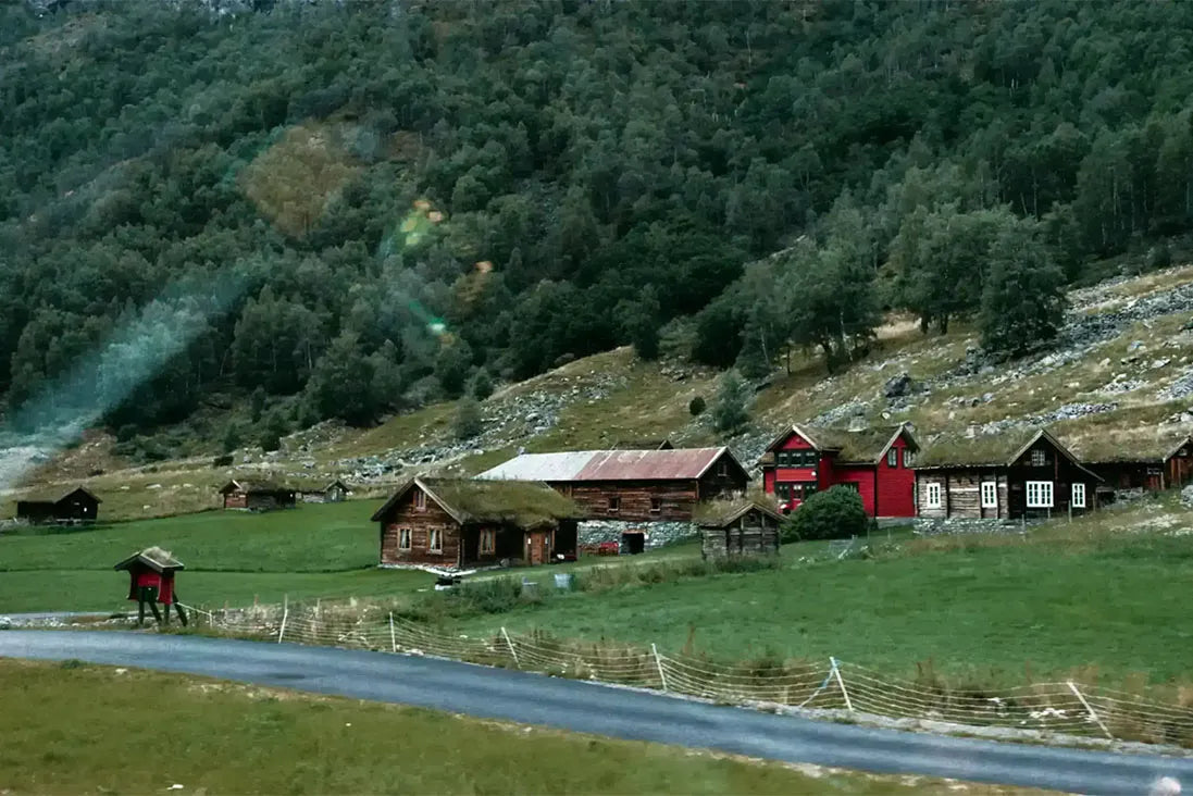 SMAD off grid propane Refrigerators for Cabin