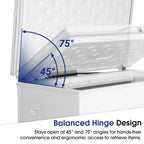 SMAD deep freezer with balanced Hinge 